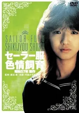千与千寻 动画电影 2001 宫崎骏